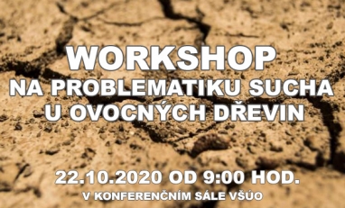 WORKSHOP na problematiku sucha u ovocných dřevin